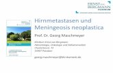 Hirnmetastasen und Meningeosis neoplastica - · PDF fileClinical Pathway- Hirnmetastasen . O Primärtumor unbekannt Primärtumorsuche: Inspektion der Haut Röntgen Thorax Thorax-CT
