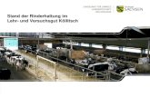 Stand der Rinderhaltung im Lehr- und Versuchsgut Köllitsch · Manifestation der Hornlosigkeit Erhaltung der hohen Zunahmen und der guten Milchleistung Selektion auf Euterform und