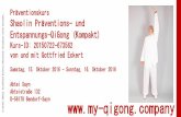 Folder MY-QIGONG-CAMP SYLT 2015 - mein-shaolin-qigong.de fileShaolin Präventions- und Entspannungs-QiGong Neben körperlich-funktionellen Übungen, wie sie beispielsweise auch in