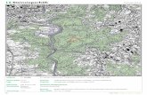 nwz atlas inhalt 2005 rz - Startseite - Wald & Holz · 15Steinsieperhöh Topographie Flächengröße 5,3 ha Lage Wuppertal Höhenlage 240-275 m ü.NN Wuchsbezirk Bergische Hochflächen