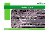 Anwendung von Mykorrhiza im Garten-und Landschaftsbau · Natürliche Wurzel-Vitalstoffe 6. März 2009 13. Pillnitzer GaLaBau-Tag 1 AMykor GmbH Anwendung von Mykorrhiza im Garten-und