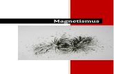 Magnetismusls- Magnetismus I. Magnetismus im Alltag Magnete sind sehr wichtig in unserem Alltag. In