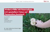 Giftpilze – Pilzgifte – Pilzvergiftungen München 2015 · Standen im Verdacht, halluzinogen zu sein Sehr häufiger Pilz im Hausgarten ProPi‐Studie 1: 19 Kinderfälle mit beobachteter