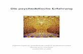 Die psychedelische Erfahrung - Psykick.de · Halluzinogen wirkende Drogen verzögern offenbar den Beginn der Gewohneitsbildung, in-dem sie die Serotoninproduktion blockieren. Das