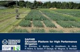 SAPHIR SAxonian Platform for High Performance IRrigation N ... · Uberblick¨ uber das Projekt ... SAPHIR SAxonian Platform for High Performance IRrigation Lehrstuhl fur Hydrologie