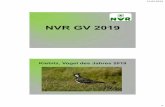 NVR-Jahresbericht 2014 - nvregensdorf.chnvregensdorf.ch/wp-content/uploads/2019/02/NVR-GV-42-mit-Jahresbericht... · 9. NVR Projekte 10. Budget und Jahresbeitrag 2019 11. Anträge