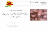„Special Leg-Workout -Trainer Modul „Knie“physiobase.de/files/SpecialLegWorkout_Knie_HH_04_2018.pdf · „Special Leg-Workout“-Trainer: Modul Knie (Hamburg, April 2018) Geplante