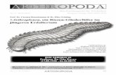 ARTHROPODA ns 8wirbellosenzentrum.de/ARTHROPODA/ARTHROPODA_ns_1.8.pdf · arthropoda Impressum Fundiert, seriös, unabhängig! Die ‚Arthropoda’ ist das Fachmagazin für alle Be-reiche