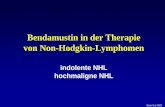 Bendamustin in der Therapie von Non-Hodgkin-Lymphomen · Bendamustin - Wirkungsmechanismus Quervernetzung der DNS-Einzel- und Doppelstränge durch Alkylierung Daraus resultiert eine