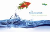 Der Tomatenfisch - igb-berlin.de · Laut der Ernährungs- und Landwirtschaftsorganisa-tion der Vereinten Nationen (FAO) ist die Aquakultur einer der am schnellsten wachsenden Bereiche