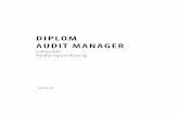 DIPLOM AUDIT MANAGER - akademie-sw.at · PDF fileAudit Planning Modul 1 Die Qualität der Wirtschaftsprüfungen erlangt eine immer größer werdende öffentliche Bedeutung. Eine qualitativ