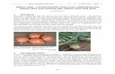 Allium cepa – Küchenzwiebel (Alliaceae Heilpflanze des ... · Jahrb. Bochumer Bot. Ver. 7 167–174 2016 – 167 – Allium cepa – Küchenzwiebel (Alliaceae ), Heilpflanze des