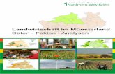 klein Landwirtschaft im Münsterland · Während in NRW die durchschnittliche Betriebsgröße bei 35 Hektar liegt, bewirtschaftet der deutsche Durch-schnittsbetrieb 56 Hektar. Damit