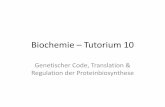 Biochemie Tutorium 10 - pwe.no-ip.orgpwe.no-ip.org/other/Biochemie/10.pdf · Universal •Der genetische Code ist universal, da er für die Verschlüsselung der Aminosäuren sowohl