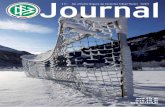Journal - DFB · DFB-Journal 4/2010 | 3 Liebe Freunde des Fußballs, wieder einmal neigt sich ein abwechslungsreiches Jahr dem Ende entgegen. Hinter uns liegen zwölf Monate, die