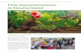 Eine Aquarienmesse in Deutschland - dps-messen.dedps-messen.de/data/documents/DiscusLive_aET2013.pdf · 54 | Discus live 50 Aqua Expo Tage 2013 nannte Mi-chael Schönefeld, der in