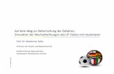 © Dr. Waldemar Zylka · Numerische Elektrodynamik Maxwell Gleichungen und Definition SAR (Specific Absorbtion Rate) 14.APT Seminar der DRG, Münster Auf dem Weg zur Beherrschung