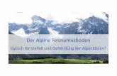 Der Alpine Felshumusboden - stmuv.bayern.de · Leistungen d. Felshumusbodens / seiner Verwandten Leistungen v.a. vom Auflagehumus bzw. vom humosen Oberboden, denn diese können viel