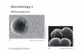 Microbiology II - uni-due.de · Thauer et al. (2008) Nature Reviews Microbiology 6, 579‐591 Methanobacteriales, Methanococcales, Methanopyrales and Methanomicrobiales without cytochromes