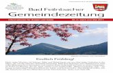 Bad Feilnbacher Gemeindezeitung · „Magnolie und Sulzberg“ Foto: Ursel Jedlizcka Endlich Frühling! Nach vielen Wochen mit Schnee, Kälte und Nebel freuen wir uns über jeden