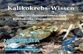 Kaliko Ordner 3 - neobiota.infoneobiota.info/pdf/Kaliko_Wissen.pdf · Die Weibchen tragen im Winter bis zu 500 Eier, aus denen bereits im zeitigen Frühjahr ab März die Jungtiere