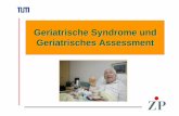 Geriatrische Syndrome und Geriatrisches Assessment · Die Pflege-Situation in Schleswig Holstein 2007 (SH-Ärzteblatt 2007) • ca. 80 000 Pflegebedürftige in SH • 2/3 weiblich,