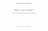 Was ist Sein?joachimstiller.de/download/philosophie_sein.pdf · immer seiend (Nicolai Hartmann). Ideales Sein in diesem Sinne besitzen die Werte, die Ideen, die mathematischen und