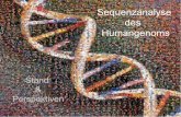 Stand Perspektiven - genome.leibniz-fli.degenome.leibniz-fli.de/lectures/download/Vorles_dnaAnalytik5.pdf · 2.72 Gb 2.85 Gb Sequenced Bases 2.65 Gb 1,000 283 Clone gaps 54,000 146,000