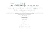 Hydrothermale Carbonisierung (HTC) von Klär- und Faulschlämmenoops.uni-oldenburg.de/2640/1/ohlhyd15.pdf · Hydrothermale Carbonisierung (HTC) von Klär- und Faulschlämmen Von der