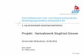 Projekt: Hartsalzwerk Siegfried Giesen€¦ · • Hafen Harsum (optional) kein zusätzlicher Flächenbedarf • Gleisanschlusstrasse zur DB -Strecke Ziel: Nutzung vorh. Trasse, damit