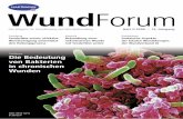 WundForum - wunde-kunkel.de · Im Focus HARTMANN WundForum 2/2008 5 ten . 44 Patienten waren bereits wegen iatrogener Erkrankungen aufgenommen worden, 58 entwickelten die Erkrankung