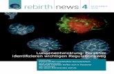 rebirth news 4 DEZEMBER 2016 · die Kommunikation zwischen dem Sonic Hedgehog-Signalweg im epithelialen Teil der Lungenknospen und dem Wnt-Signalweg im umgebenden Mesenchym, in-dem