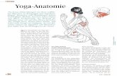 Yoga-Anatomie (erschienen in SEIN 11.2008 / No. 159) · Title: Yoga-Anatomie (erschienen in SEIN 11.2008 / No. 159) Author: Stefan Datt Subject: Die Asanas (Körperübungen) mit ihrem