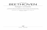 Ludwig van BEETHOVEN · Nevertheless, Beethoven’s oeuvre – especially the piano sonatas and chamber music – contains some movements that prove attractive for performance on