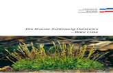Die Moose Schleswig-Holsteins · Herausgeber: Landesamt für Natur und Umwelt des Landes Schleswig-Holstein Hamburger Chaussee 25 24220 Flintbek Tel. 0 43 47 / 704 - 0