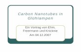 Carbon Nanotubes in Glühlampen - fh-muenster.de · Carbon Nano Tubes zKohlenstoffnanoröhren, auch CNT (carbon nanotubes), sind mikroskopisch kleine röhrenförmige Gebilde (molekulare