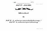 Bundeskommission Fallschirmsport AFF-Ausbildungshandbuch ... · Version 6 / Modul 6 Seite 8 von 21 Abschnitt I – 40 Punkte in maximal 5 Bewertungsdurchgängen = bestanden der Anwärter