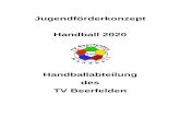 Handballabteilung des TV Beerfeldenostercamp.tvbeerfelden.de/wp-content/uploads/2014/03/jugendkonzept_tvb.pdf · Zentrum. Hallen - Handball gibt es in der Oberzent seit 1980, zum