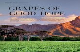 wein SÜDAFRIKA GRA PES OF GOOD HOPE - KapWeine · 60 falstaff 01 / 13 01 / 13 falstaff 61 wein / SÜDAFRIKA Etwa 275.000 Menschen leben in Südafri-ka direkt oder indirekt vom Wein.