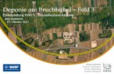 Deponie am Bruchhübel – Feld 3 - BASF...4 (1) Einleitung – Projektbearbeitung 2012 - 2017 The business of sustainability 2. Sanierungsziele The business of sustainability (2)