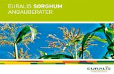 EURALIS SORGHUM · Die Sortenwahl ist ein entscheidender Faktor bei der Anbauwürdigkeit von Sorghum. Die Erfahrungen der letzten Jahre haben gezeigt, dass der Anbau von Sorghum auch