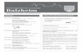 Mitteilungsblatt der Gemeinde Balzheim · 2017-10-18 · Der Ulmer Rabbiner Shneur Trebnik kommt zu Besuch nach Iller-rieden. Er referiert über jüdische Feste und Feiertage sowie