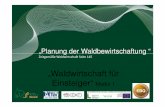 „Waldwirtschaft für Einsteiger“ Modul 1 · 2016-08-16 · Einsteiger“ Modul 1 Zeitgemäße Waldwirtschaft Seite 145. Waldwirtschaftspläne • Österreichische Waldinventur