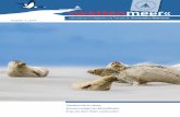 Ausgabe 3 2014 - Schutzstation Wattenmeer · 2015-10-22 · Eissturmvögel als Bioindikator 3 Der Eissturmvogel (Fulmarus glacialis) 5 Hochachtung – Umweltstaatssekretärin zu Besuch