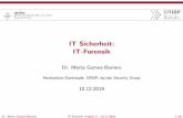 IT Sicherheit: IT-ForensikIT Sicherheit: IT-Forensik Dr. Marta Gomez-Barrero Hochschule Darmstadt, CRISP, da/sec Security Group 10.12.2019 Dr. Marta Gomez-Barrero IT-Forensik, Kapitel