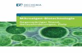 Mikroalgen-Biotechnologie...4 zusammenfassung » Prozesse der Biomasse-Aufarbeitung müssen entwi-ckelt werden, die eine Mikroalgenbiotechnologie auch im Industriemaßstab rentabel