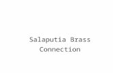 gigmit-production.s3.amazonaws.com · Web viewIm Bundesjugendorchester kennengelernt, schloss sich das Quintett „Salaputia Brass“ 2007 zusammen, um bei „Jugend Musiziert“