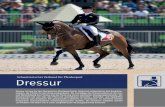 Schweizerischer Verband für Pferdesport Dressur...Schweizerischer Verband für Pferdesport Dressur Dressur ist eine der drei Olympischen Pferdesportarten. Historisch entspringt sie