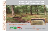 Hürtgenwald- Raffelsbrand BODENLEHRPFADE IN NRW · ist der Boden „sauer“, was sich in einem niedrigen pH-Wert ausdrückt. Ein Boden wird beispielsweise als sehr stark sauer bezeichnet,