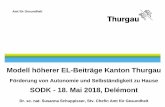 Modell höherer EL-Beiträge Kanton ThurgauGeriatrie- und Demenzkonzept Kanton Thurgau, 1. Etappe 2017-2020 3. Pflegeheimplanung gemäss Gesetz über die Krankenversicherung Zeithorizont
